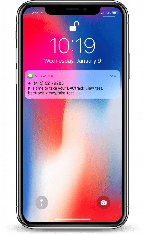 BACtrack View: Take a BAC test on an iPhone