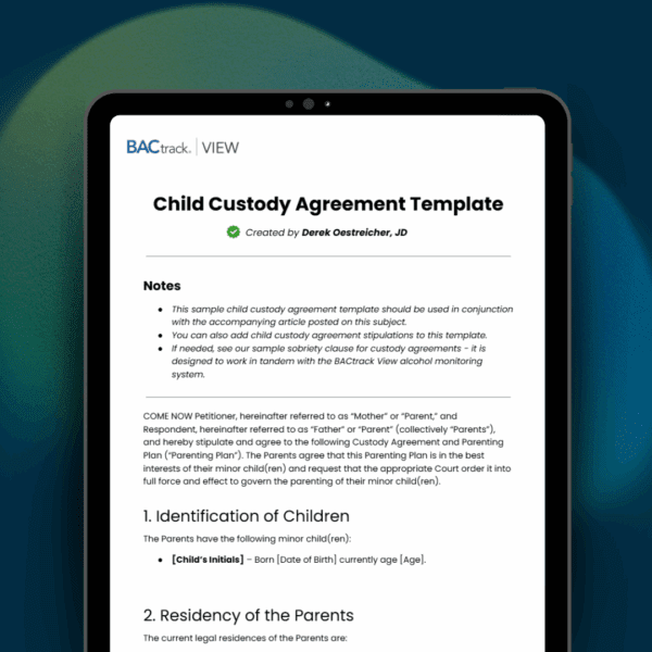 Child Custody Agreement Template featured image